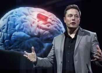 تعيد للأعمى بصره.. ماسك يكشف موعد تجربة شريحة المخ على البشر