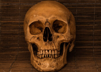 ابتسامات أسلافنا كانت هوليوودية، فما سبب اعوجاج أسناننا اليوم؟