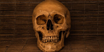 ابتسامات أسلافنا كانت هوليوودية، فما سبب اعوجاج أسناننا اليوم؟