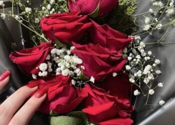 وفي دروب الحب الأصيل تأتي مشيئة الله .. بارك الله بكما وعليكما وجمعكما في الخير