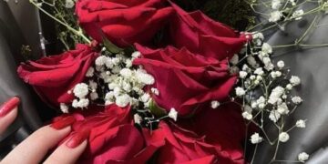 وفي دروب الحب الأصيل تأتي مشيئة الله .. بارك الله بكما وعليكما وجمعكما في الخير